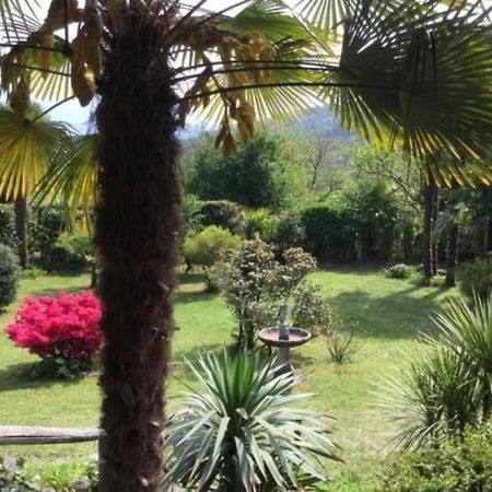 """Casa Elena -Tegna"" Die Ruheoase In Grossem Garten" Ngoại thất bức ảnh