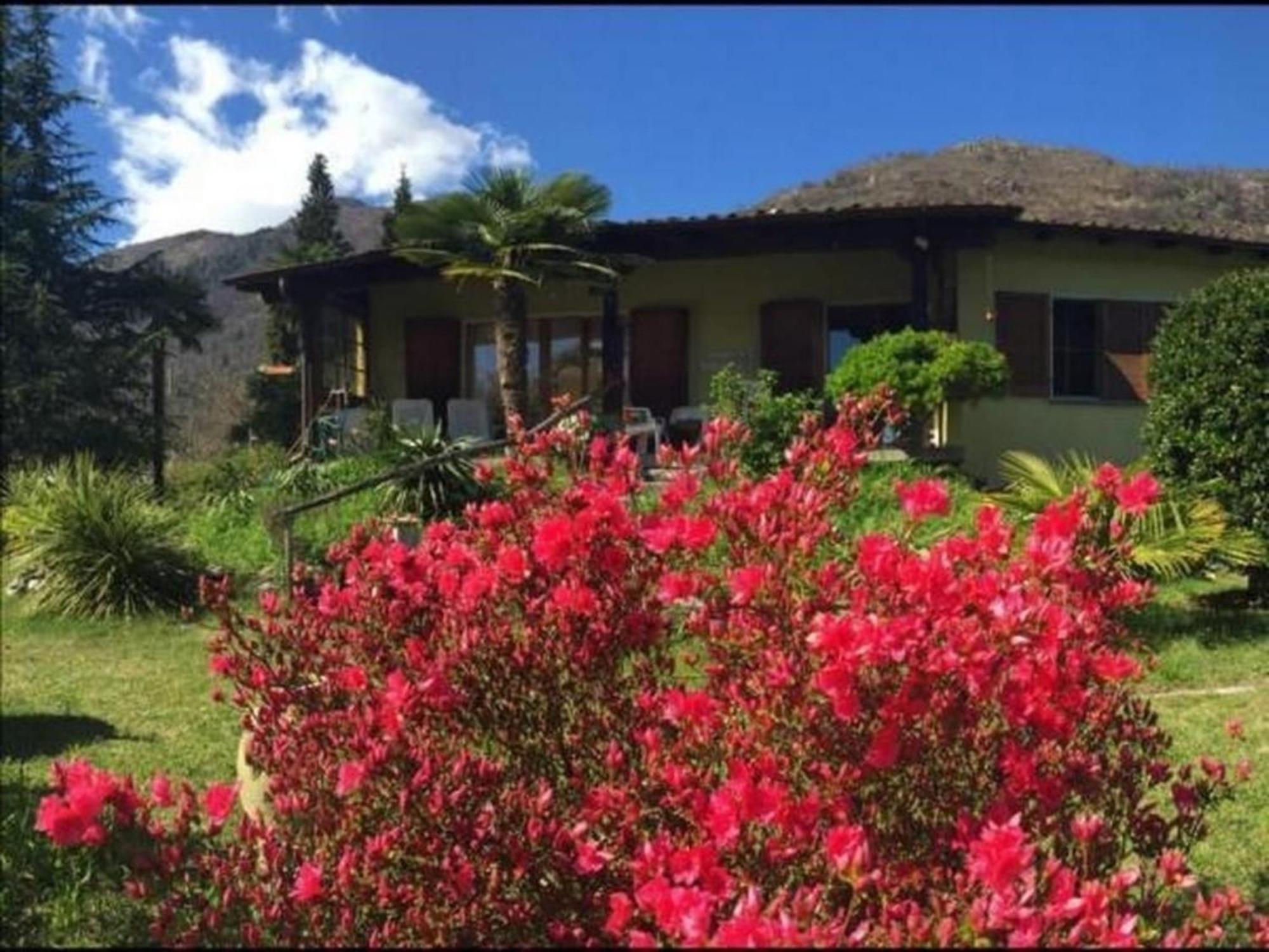 """Casa Elena -Tegna"" Die Ruheoase In Grossem Garten" Ngoại thất bức ảnh